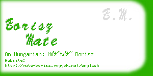 borisz mate business card